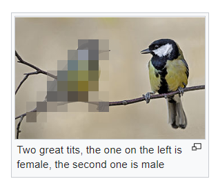 Tits.png