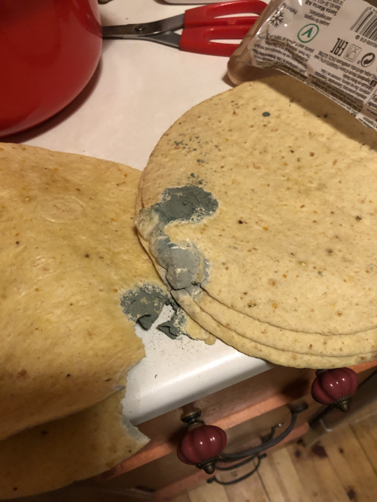 tortilla.png