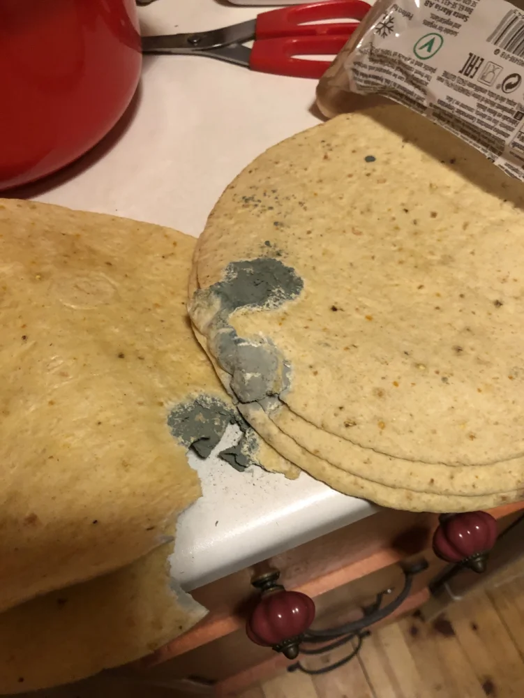 tortilla.png