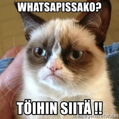 whatsapissako-tihin-siit-.webp