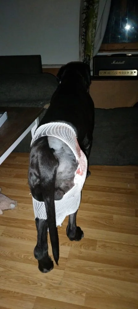 WhatsApp Image 2023-10-20 at 20.15.56.webp