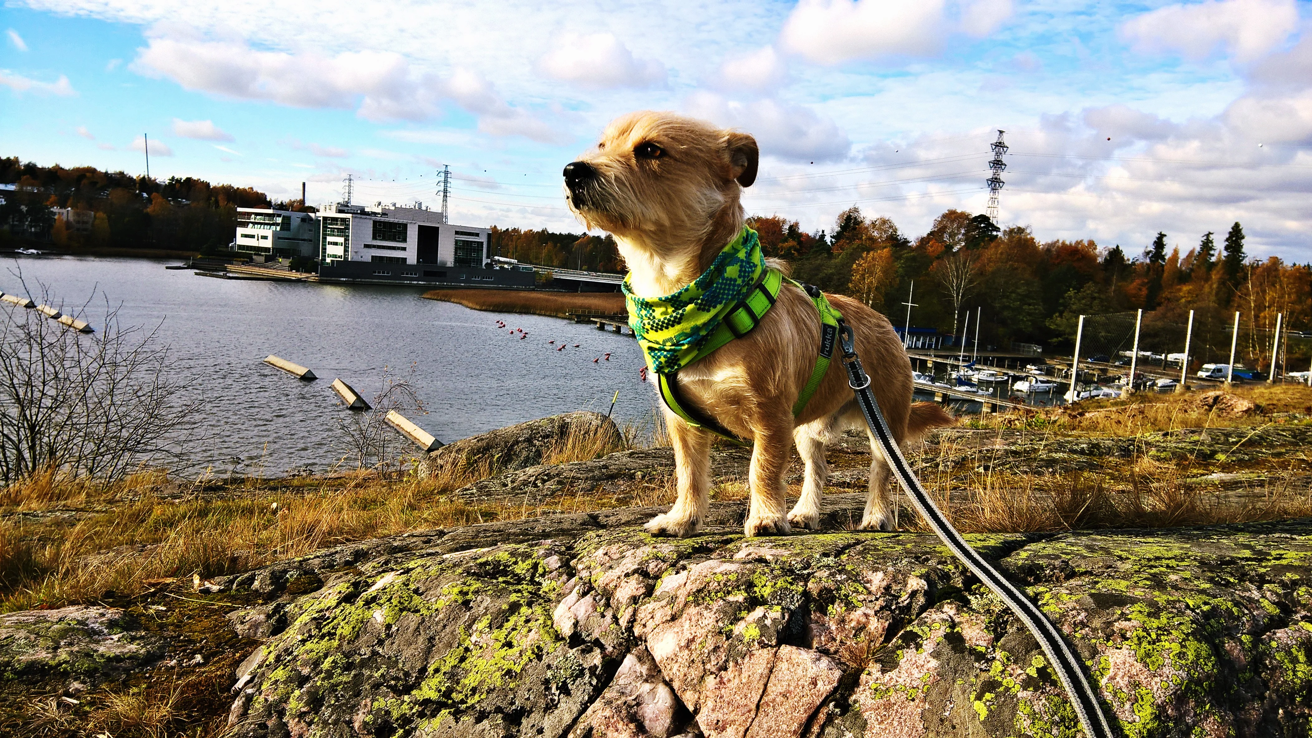 WP_20161018_12_49_33_Pro (2).webp