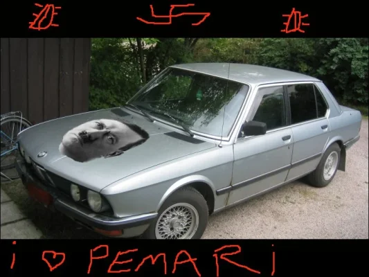 pemari edited 2.webp