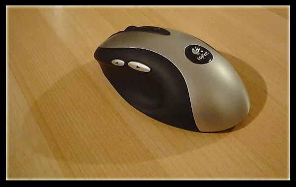 mouse.webp