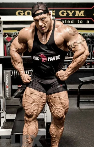 Morgan Aste 2016.webp