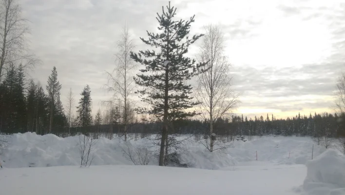 2016-03-03 12.58.16.webp