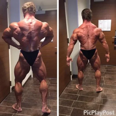 meadowsripped.webp meadowsripped.webp