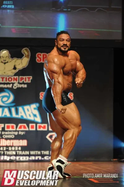 roelly3.webp roelly3.webp