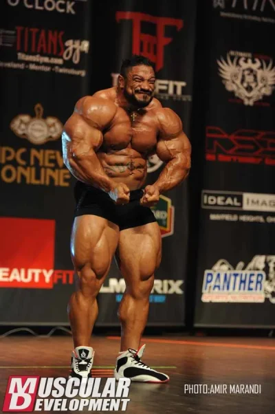 roelly4.webp roelly4.webp