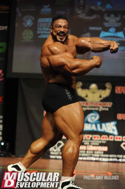 roelly5.webp roelly5.webp