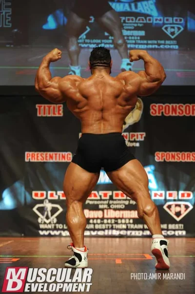 roelly6.webp roelly6.webp