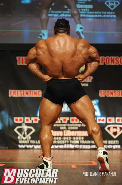 roelly7.webp roelly7.webp