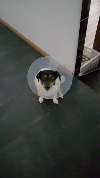 20160413_171417.webp 20160413_171417.webp