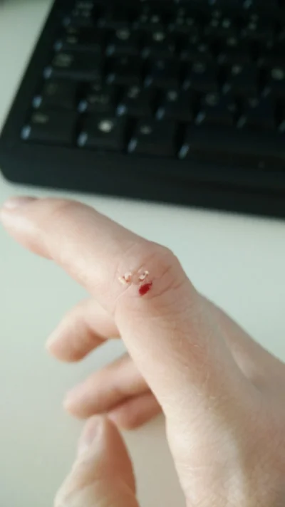 IMG-20160604-WA0019 (1).webp