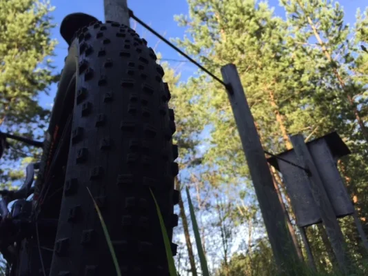 image.webp image.webp