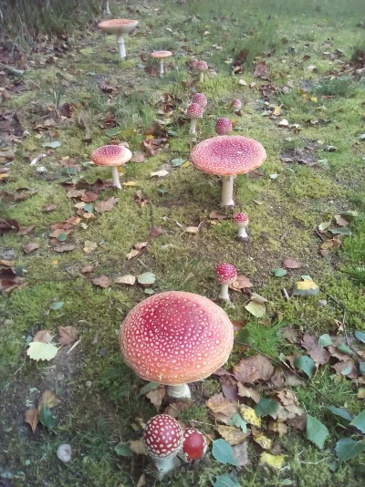 IMG_20160827_130537.webp IMG_20160827_130537.webp