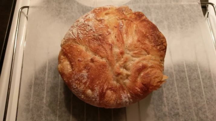 2016-09-19 23.11.22.webp