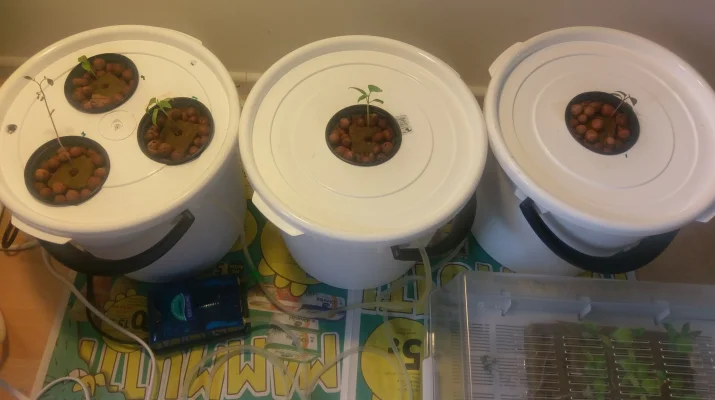 tmp_32543-IMAG1016393730201.webp tmp_32543-IMAG1016393730201.webp