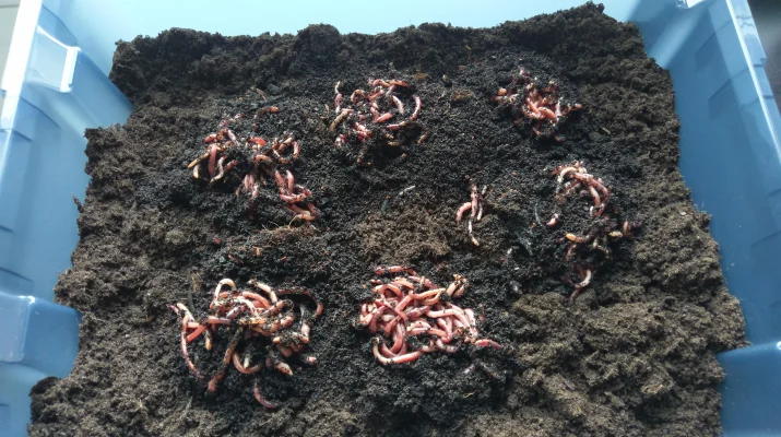 2017-05-11 20.15.15.webp