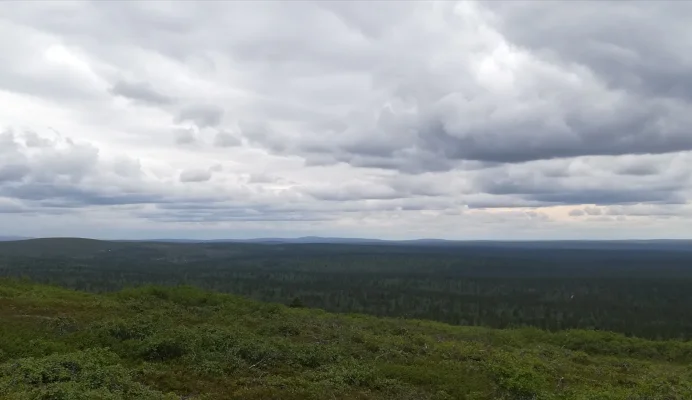 IMG_20170712_151526.webp IMG_20170712_151526.webp