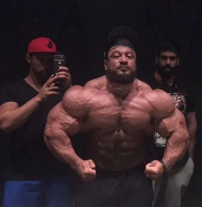 roellyw.webp roellyw.webp