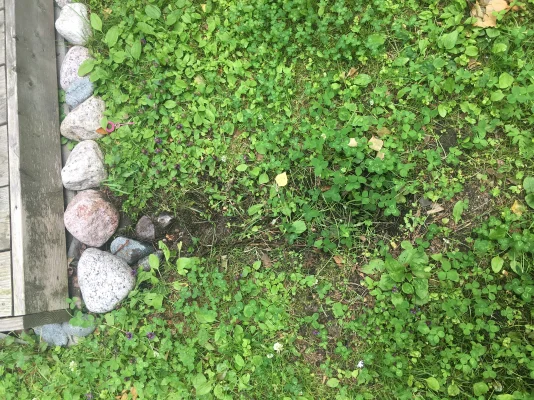 IMG_2060.webp IMG_2060.webp