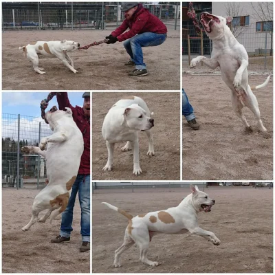 mac 2017.webp mac 2017.webp