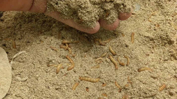 2016-09-18 21.14.32.webp