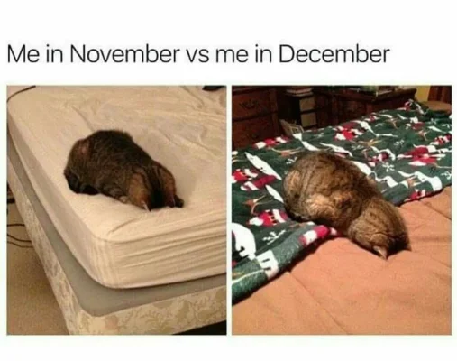 Screenshot_20161205-195908.webp Screenshot_20161205-195908.webp