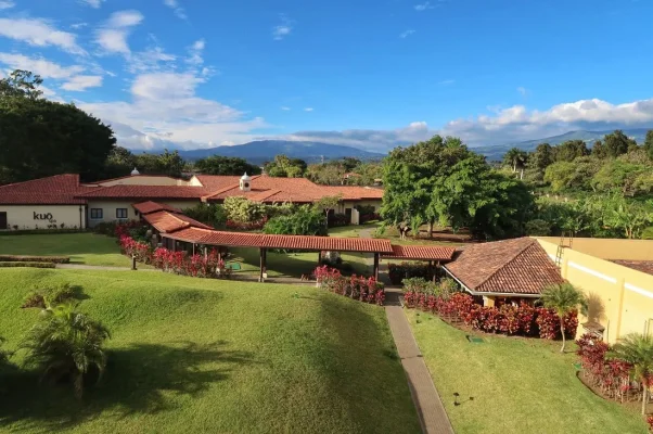 26170420_10155923286699471_6376382313273616891_o.webp 26170420_10155923286699471_6376382313273616891_o.webp