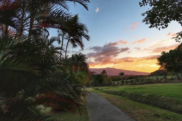 26170706_10155923286349471_2661490415516416450_o (1).webp 26170706_10155923286349471_2661490415516416450_o (1).webp