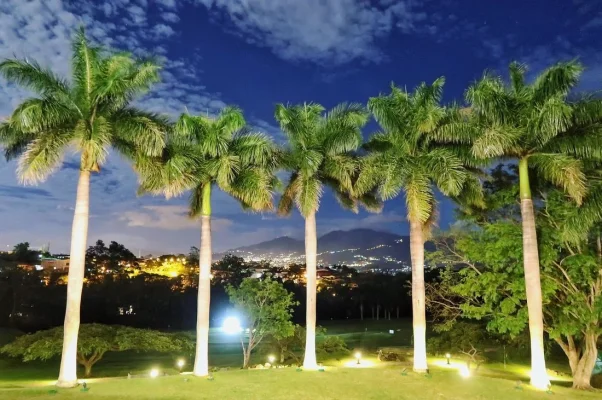 26170968_10155923286194471_2320698978786956266_o (1).webp 26170968_10155923286194471_2320698978786956266_o (1).webp