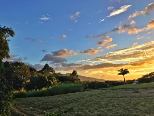 26172543_10155923286104471_2185680908286194879_o (1).webp 26172543_10155923286104471_2185680908286194879_o (1).webp