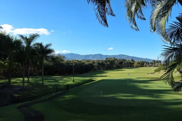 26678129_10155929941834471_7672849189811889303_o.webp 26678129_10155929941834471_7672849189811889303_o.webp