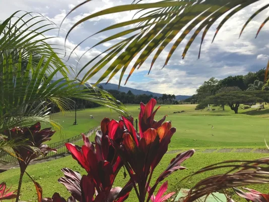 26221002_10155923293394471_4805359854109226409_o.webp 26221002_10155923293394471_4805359854109226409_o.webp