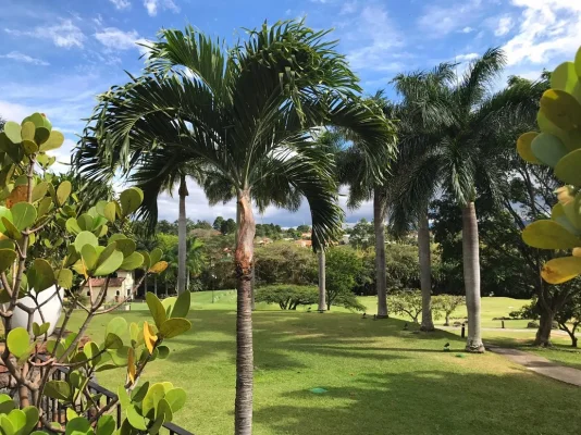 26173093_10155923293399471_6691666982555804298_o.webp 26173093_10155923293399471_6691666982555804298_o.webp