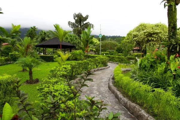 26757746_10155957879134471_6309076937177902253_o.webp 26757746_10155957879134471_6309076937177902253_o.webp