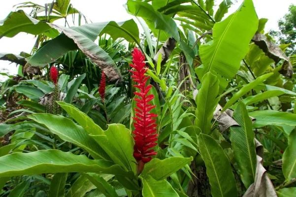 26685090_10155957879099471_134364824922020629_o.webp 26685090_10155957879099471_134364824922020629_o.webp