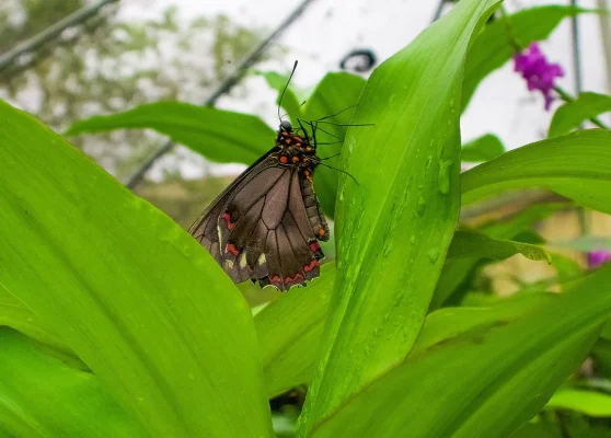 26756583_10155957878744471_4637622450724232052_o (1).webp 26756583_10155957878744471_4637622450724232052_o (1).webp