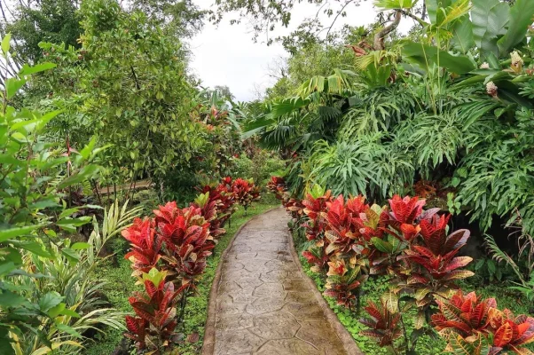 26173222_10155929942279471_6707535819185073364_o.webp 26173222_10155929942279471_6707535819185073364_o.webp