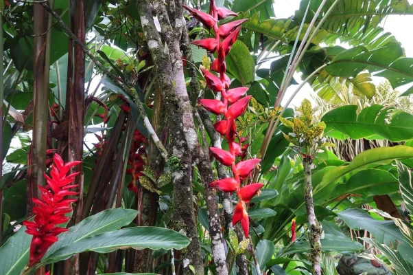 26173461_10155929970164471_264809352277423062_o.webp 26173461_10155929970164471_264809352277423062_o.webp