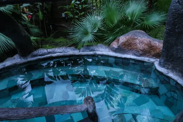 26758124_10155952880924471_7230422916934482968_o.webp 26758124_10155952880924471_7230422916934482968_o.webp