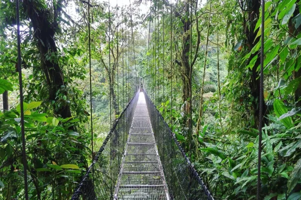 26172706_10155929971254471_4971254807965923831_o.webp 26172706_10155929971254471_4971254807965923831_o.webp