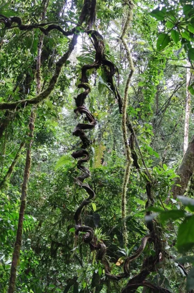 26173331_10155929941674471_8320251019778807324_o.webp 26173331_10155929941674471_8320251019778807324_o.webp