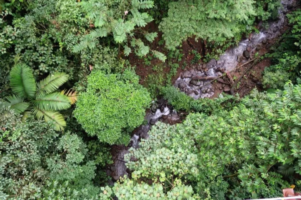 26677857_10155929971389471_351492947156233664_o (1).webp 26677857_10155929971389471_351492947156233664_o (1).webp