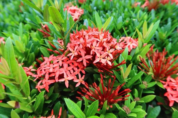 26172622_10155929941619471_7853225594316176724_o.webp 26172622_10155929941619471_7853225594316176724_o.webp