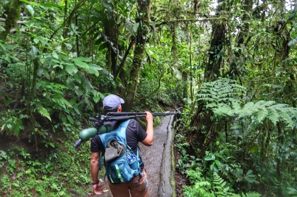 26678396_10155929941829471_4979528993126415692_o.webp 26678396_10155929941829471_4979528993126415692_o.webp