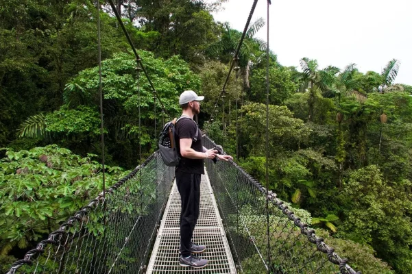 26677708_10155957879029471_6998221862631929636_o.webp 26677708_10155957879029471_6998221862631929636_o.webp