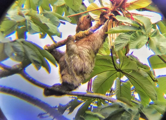 27017317_10155958334734471_1032251427_o.webp 27017317_10155958334734471_1032251427_o.webp