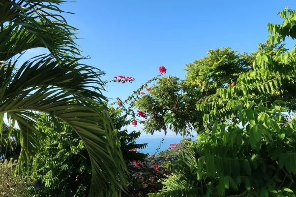 26233726_10155933922959471_7433363478055588207_o.webp 26233726_10155933922959471_7433363478055588207_o.webp